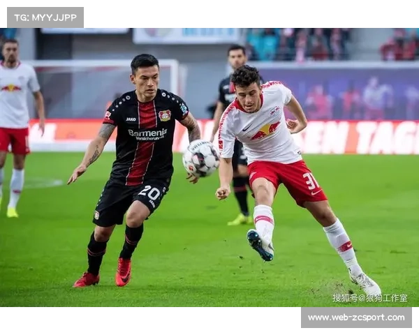 勒沃库森体育总监谈新援达米亚诺维奇：500万欧元投资未来锋线希望